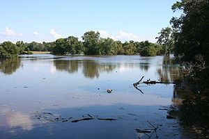 Stillman Creek (Illinois) httpsuploadwikimediaorgwikipediacommonsthu