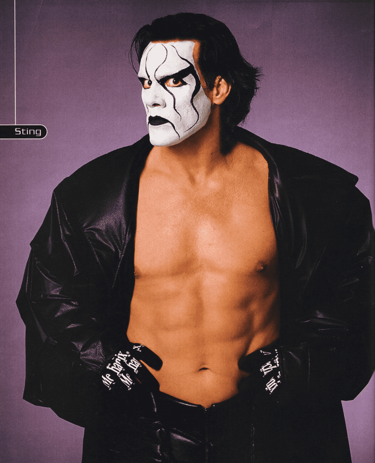 Wrestler Sting