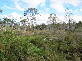 Stingray Swamp Flora Reserve httpsuploadwikimediaorgwikipediacommonsthu