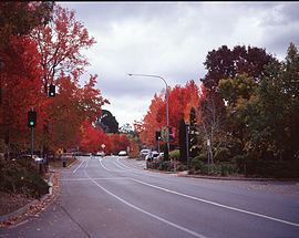 Stirling, South Australia httpsuploadwikimediaorgwikipediacommonsthu