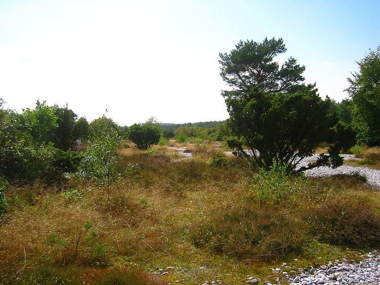 Stone Fields in the Schmale Heath and Extension
