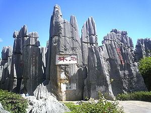 Stone Forest httpsuploadwikimediaorgwikipediacommonsthu