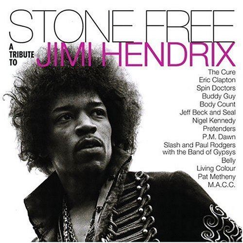 Stone Free: A Tribute to Jimi Hendrix httpsimagesnasslimagesamazoncomimagesI5