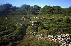 Stone labyrinths of Bolshoi Zayatsky Island Stone labyrinths of Bolshoi Zayatsky Island Wikipedia