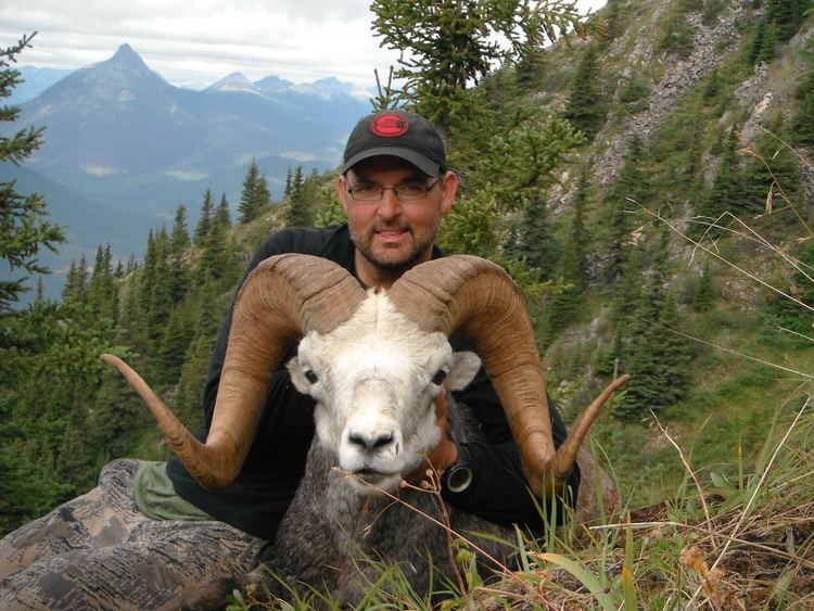 Stone sheep Stone Sheep Wicked River Outfitters