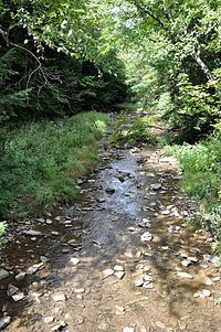 Stony Fork Creek httpsuploadwikimediaorgwikipediacommonsthu