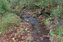 Stony Run (Little Catawissa Creek) httpsuploadwikimediaorgwikipediacommonsthu