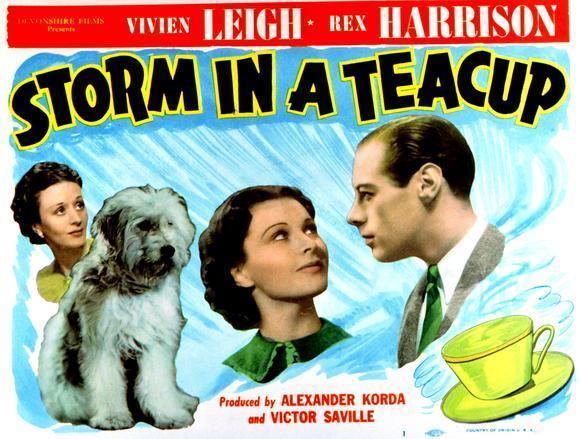 Storm in a Teacup (film) Storm in a Teacup 1937 The Hollywood Revue