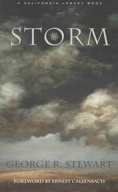 Storm (novel) t2gstaticcomimagesqtbnANd9GcS5ypFCsHOldv2bOn
