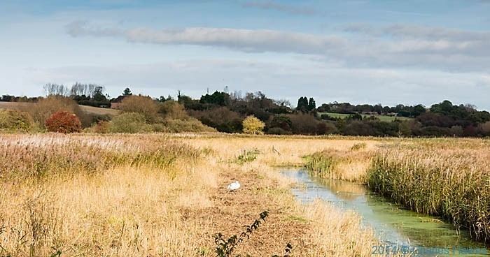 Stour Valley Walk charleshawesveddwcomwpcontentuploads201504