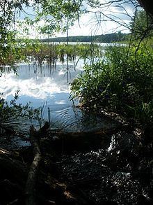 Straight River (Wisconsin) httpsuploadwikimediaorgwikipediacommonsthu