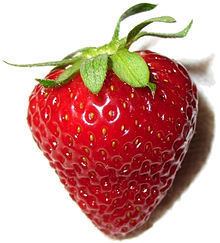 Strawberry httpsuploadwikimediaorgwikipediacommonsthu