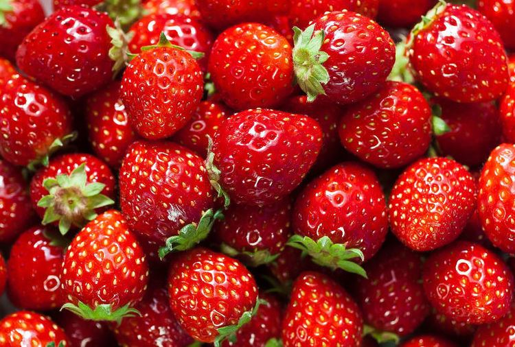 Strawberry Strawberry Facts Fun Facts About Strawberries