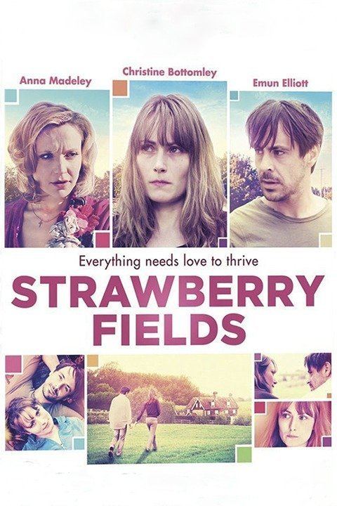 Strawberry Fields (2011 film) wwwgstaticcomtvthumbdvdboxart9472800p947280