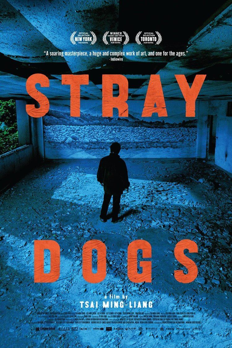 Stray Dogs (2013 film) wwwgstaticcomtvthumbmovieposters10193917p10