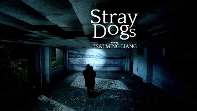 Stray Dogs (2013 film) STRAY DOGS Tsai Mingliang trailer YouTube