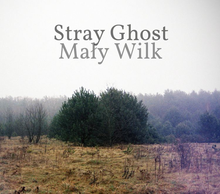 Stray Ghost Stray Ghost May Wilk a closer listen