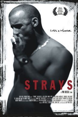 Strays (1997 film) Strays 1997 film Wikipedia