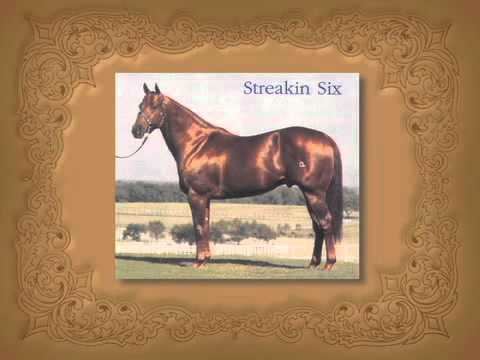 Streakin Six Streakin Six 2011 American Quarter Horse Hall of Fame inductee