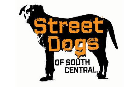 Street Dogs of South Central wwwstreetdogsmoviecomsourcelogojpg