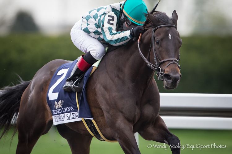 Street Sense (horse) Keeneland Presents American Graded Stakes Standings Young Stallions