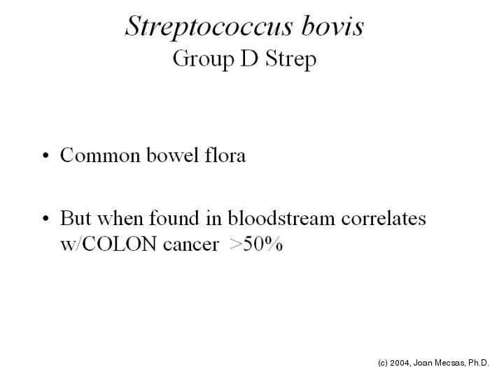 Streptococcus bovis MBI200 Microbiology Fall 20042005 Tufts OpenCourseWare