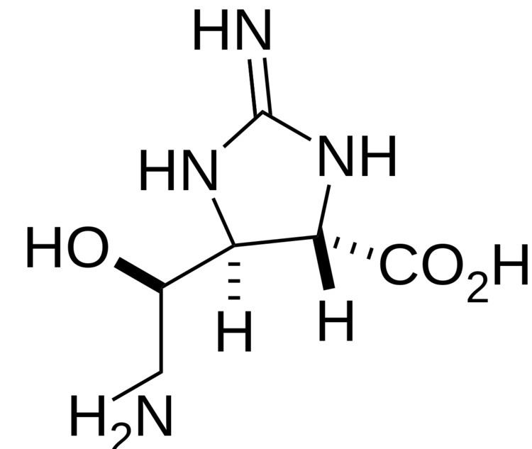 Streptolidine