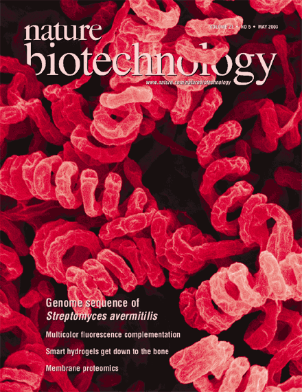 Streptomyces avermitilis httpswwwkitasatouacjpliscilifechartimag