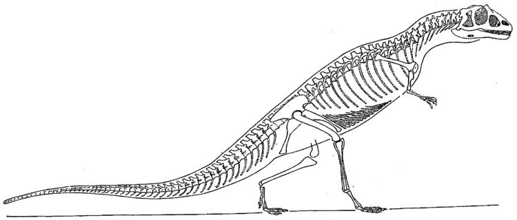 Streptospondylus FileStreptospondylus cuvierijpg Wikimedia Commons