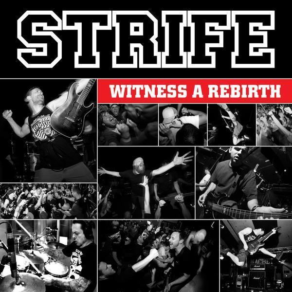 Strife (band) Strife Witness a Rebirth review Some Will Never Know zine
