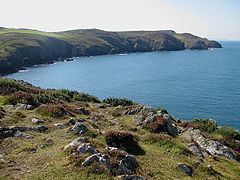 Strumble Head - Llechdafad Cliffs httpsuploadwikimediaorgwikipediacommonsthu