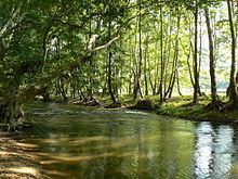 Strumica (river) httpsuploadwikimediaorgwikipediacommonsthu