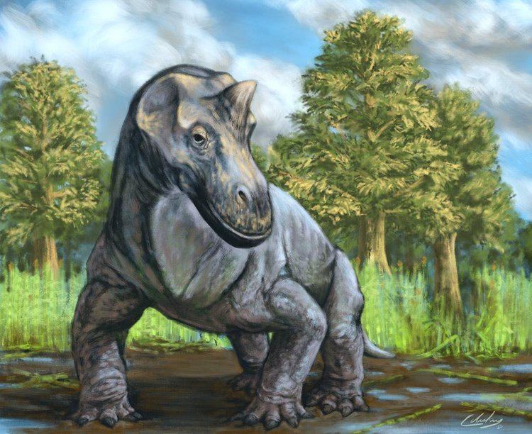 Struthiocephalus Matt Celeskey on Twitter quotNew synapsid painting A young bull