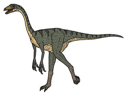 Struthiomimus Struthiomimus Dinosaur Facts information about the dinosaur