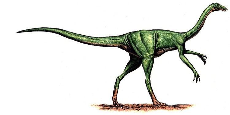 Struthiomimus Struthiomimus Pictures amp Facts The Dinosaur Database