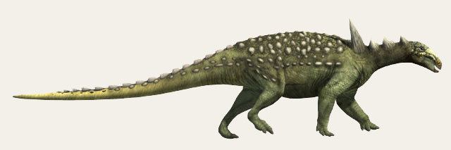 Struthiosaurus Struthiosaurus spp