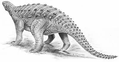 Struthiosaurus wwwnhmacukresourcesnatureonlinelifedinosau