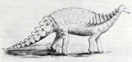 Struthiosaurus Struthiosaurus Wikiwand