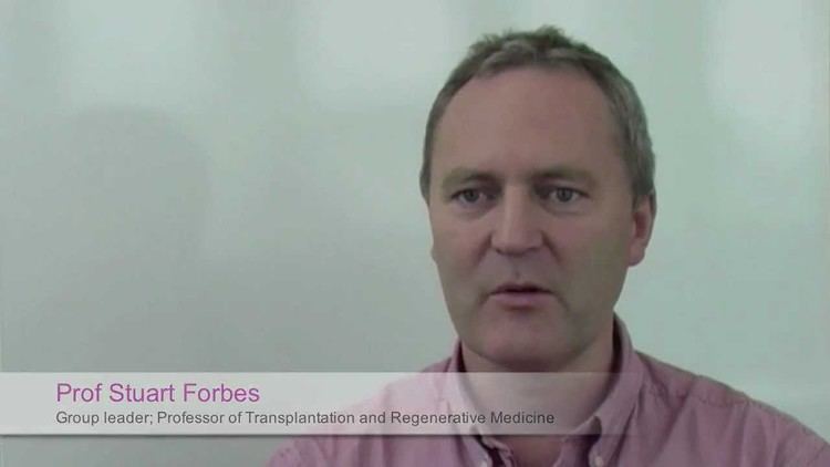 Stuart Forbes Prof Stuart Forbes Liver Stem Cells Regeneration YouTube