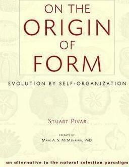 Stuart Pivar On The Origin Of Form Stuart Pivar 9781556438868