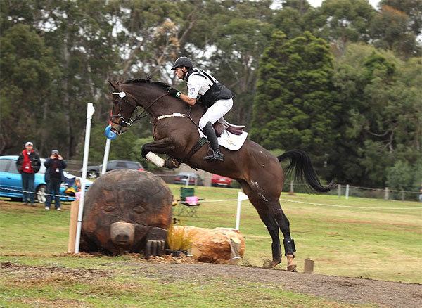 Stuart Tinney Australian picks for 2010 World Equestrian Games The Roar