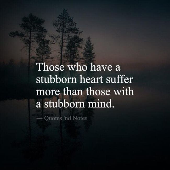 Stubborn Heart Stubborn heart
