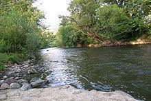 Studenica (river) httpsuploadwikimediaorgwikipediacommonsthu