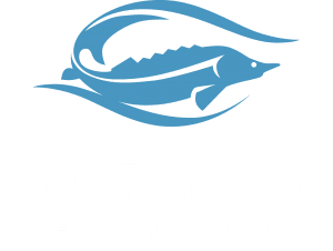 Sturgeon Aquafarms markysgroupcomwpcontentuploads201305Sturgeo