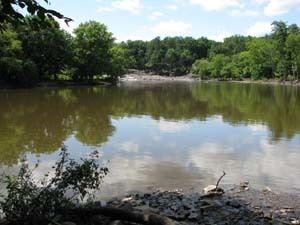 Sturgeon Pool wwwdecnygovimagesfishmarineimagesstrgonpoo