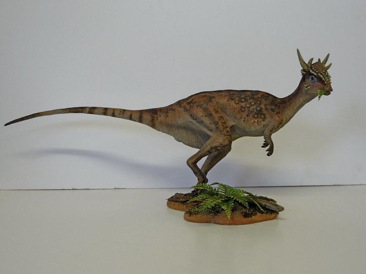 Stygimoloch httpswwwnewdinosaurscomwpcontentuploads20