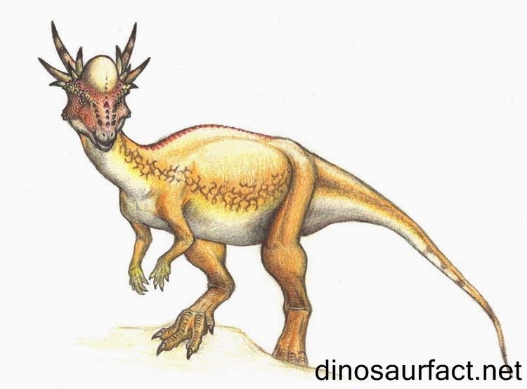 Stygimoloch Stygimoloch dinosaur