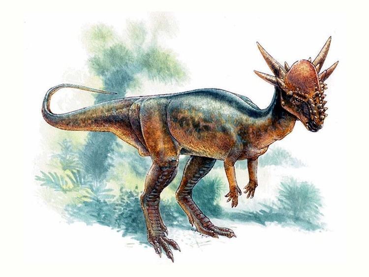 Stygimoloch Stygimoloch Fotos Hechos y Historia Dinosaurios