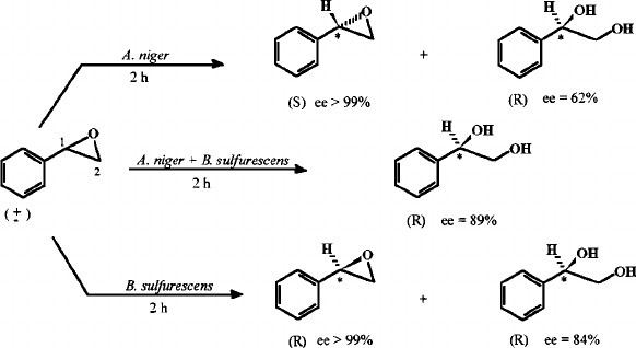 Styrene oxide Resolution of styrene oxide by Aspergillus niger and Figure 18