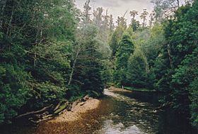 Styx River (Tasmania) httpsuploadwikimediaorgwikipediacommonsthu